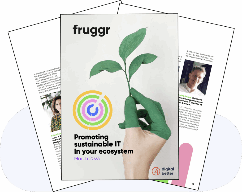 overview of the white paper on sustainable IT