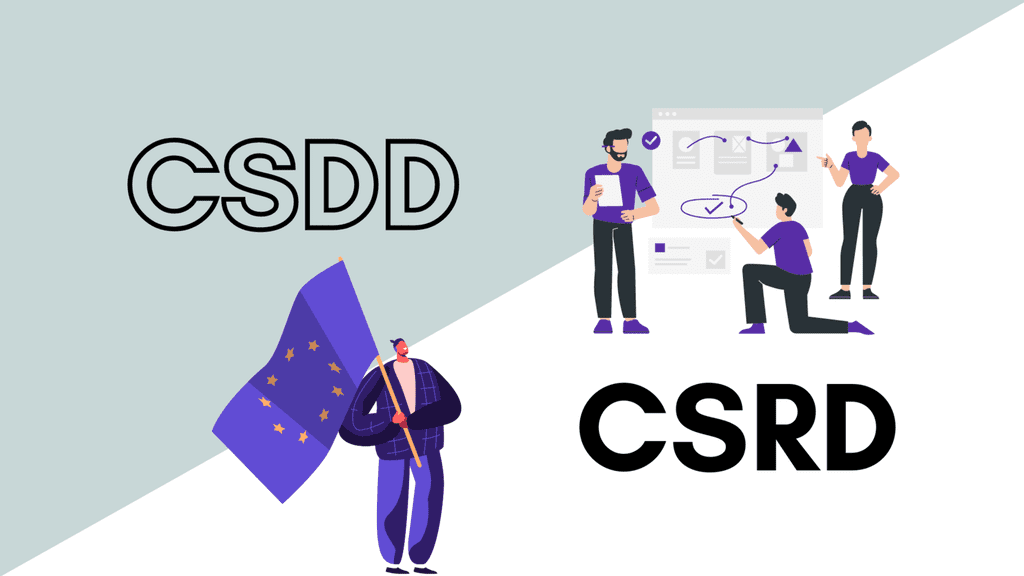 illustration of the two directives CSDD and CSRD