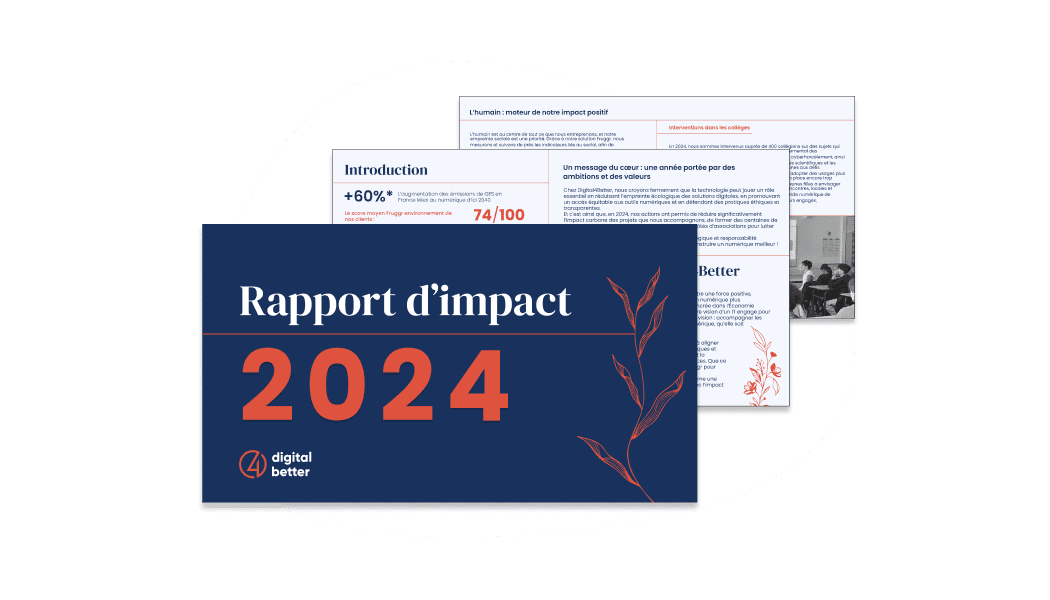 Preview of the French Impact Report of Digital4Better